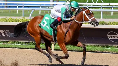 Mythical del venezolano Jorge Delgado les metió un galope en el FHBA Sophomore Fillies Sprint Stakes en Gulfstream Park Mythical del venezolano Jorge Delgado les metió un galope en el FHBA Sophomore Fillies Sprint Stakes en Gulfstream Park