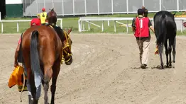 La Rinconada: Estos son los retirados de la reunión N°18 del 26-04-2026 