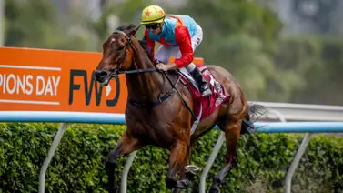 Ka Ying Rising hace historia en Hong Kong: 20 victorias seguidas y nuevo récord en el Chairman's Sprint Prize (Gr1) Ka Ying Rising hace historia en Hong Kong: 20 victorias seguidas y nuevo récord en el Chairman's Sprint Prize (Gr1)