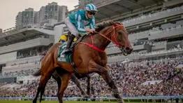 Hazaña cumplida: El caballo más rico de la historia ratifica su hegemonía en la FWD Queen Elizabeth II Cup (Grupo 1)