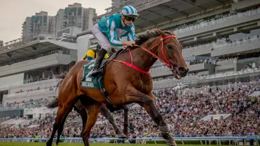 Hazaña cumplida: El caballo más rico de la historia ratifica su hegemonía en la FWD Queen Elizabeth II Cup (Grupo 1) Hazaña cumplida: El caballo más rico de la historia ratifica su hegemonía en la FWD Queen Elizabeth II Cup (Grupo 1)