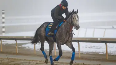 Kentucky Oaks: Bob Baffert se queda fuera de la carrera de los lirios por el retiro de su yegua Kentucky Oaks: Bob Baffert se queda fuera de la carrera de los lirios por el retiro de su yegua