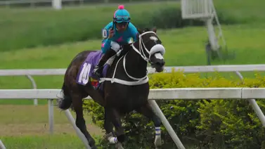 Corazón de campeona: Princesa Fina derrota a los machos y se consagra en la Copa Negresco Corazón de campeona: Princesa Fina derrota a los machos y se consagra en la Copa Negresco