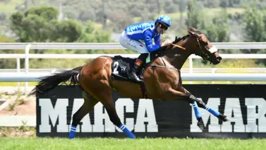 Gelinotte entrenada por el venezolano Efraín Arguinzones arrasa en el Gran Premio Valderas en España Gelinotte entrenada por el venezolano Efraín Arguinzones arrasa en el Gran Premio Valderas en España