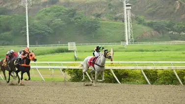 Suspenden a Robert Capriles dos semanas por este motivo en La Rinconada Suspenden a Robert Capriles dos semanas por este motivo en La Rinconada