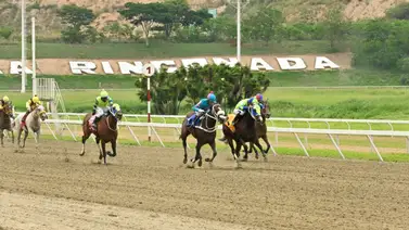 Conoce lo que informó Yoelbis González sobre la yegua Bellsonhershoes Conoce lo que informó Yoelbis González sobre la yegua Bellsonhershoes