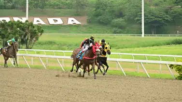 Acá tiene lo que notificó Winder Veliz sobre Dumpling en la jornada dominical Acá tiene lo que notificó Winder Veliz sobre Dumpling en la jornada dominical