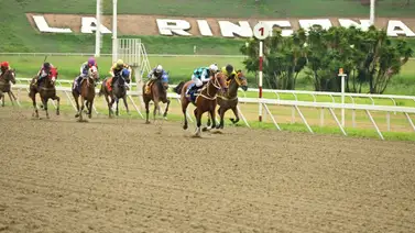 Este es el informe que presentó el jockey de Torrestrella en La Rinconada Este es el informe que presentó el jockey de Torrestrella en La Rinconada