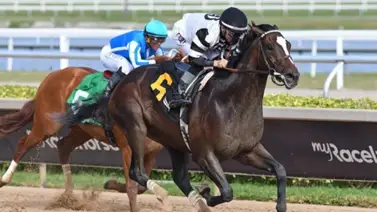 Kentucky Derby: Chief Wallabee busca ser el primer ganador de las Rosas en más de 50 años por estos detalles Kentucky Derby: Chief Wallabee busca ser el primer ganador de las Rosas en más de 50 años por estos detalles