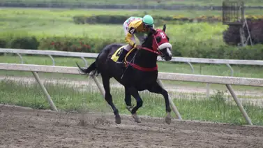 Pedigrí de Lujo: King Seraf vuelve a dominar entre los sementales en La Rinconada Pedigrí de Lujo: King Seraf vuelve a dominar entre los sementales en La Rinconada