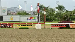 Refuerzo de jerarquía: Una nieta del ganador del Preakness Stakes llega a manos de reconocido profesional en La Rinconada