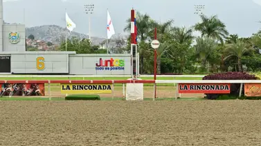 Refuerzo de jerarquía: Una nieta del ganador del Preakness Stakes llega a manos de reconocido profesional en La Rinconada Refuerzo de jerarquía: Una nieta del ganador del Preakness Stakes llega a manos de reconocido profesional en La Rinconada