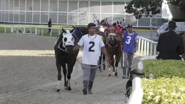 Cuidado con la cumpleañera: La importada que exhibe condiciones de lujo para su debut en La Rinconada Cuidado con la cumpleañera: La importada que exhibe condiciones de lujo para su debut en La Rinconada