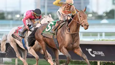 Skippylongstocking y Baeza en el duelo titánico este viernes por el Alysheba Stakes (G2) de $750,000 en premios Skippylongstocking y Baeza en el duelo titánico este viernes por el Alysheba Stakes (G2) de $750,000 en premios