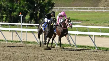 ¿Se te olvidó?: El ejemplar que sufrió tropiezos en su debut selectivo regresa a la pista de La Rinconada ¿Se te olvidó?: El ejemplar que sufrió tropiezos en su debut selectivo regresa a la pista de La Rinconada