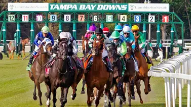Pronósticos Tampa Bay Downs: picks gratis y el dato clave para el miércoles 29 de abril Pronósticos Tampa Bay Downs: picks gratis y el dato clave para el miércoles 29 de abril