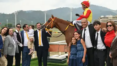 Stud Los Audaces: El pilar del éxito en el primer cuatrimestre de 2026 en La Rinconada Stud Los Audaces: El pilar del éxito en el primer cuatrimestre de 2026 en La Rinconada