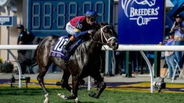 Una ganadora de la Breeders' Cup encabeza el Mamzelle Stakes (G3) de $300,000 en Churchill Downs Una ganadora de la Breeders' Cup encabeza el Mamzelle Stakes (G3) de $300,000 en Churchill Downs