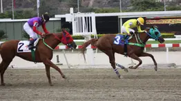 Linaje criollo: Debuta hijo de una excelente campeona millera y trae destacados trabajos en La Rinconada