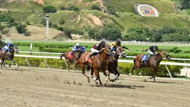 El retorno de la favorita: reaparece la yegua de mayor confianza tras su retiro previo en La Rinconada El retorno de la favorita: reaparece la yegua de mayor confianza tras su retiro previo en La Rinconada