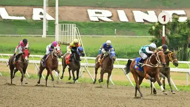 Cronómetros de lujo: Conozcan a los ejemplares que han dejado los mejores tiempos en la distancia de 1.500 metros Cronómetros de lujo: Conozcan a los ejemplares que han dejado los mejores tiempos en la distancia de 1.500 metros