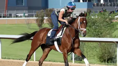 Kentucky Derby: Este es el implemento especial que llevará Renegade para el primero de la Triple Corona Kentucky Derby: Este es el implemento especial que llevará Renegade para el primero de la Triple Corona