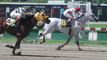 Tal día como hoy: El "Tordillo de Acero" que marcó una época dorada en el hipismo venezolano Tal día como hoy: El "Tordillo de Acero" que marcó una época dorada en el hipismo venezolano