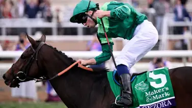 A la taquilla: Gezora tiene el camino libre en su debut de temporada en el Modesty Stakes (G3T) A la taquilla: Gezora tiene el camino libre en su debut de temporada en el Modesty Stakes (G3T)