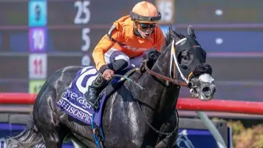 La Eclipse winner Shisospicy lidera la nómina del Unbridled Sidney Stakes (G2) La Eclipse winner Shisospicy lidera la nómina del Unbridled Sidney Stakes (G2)