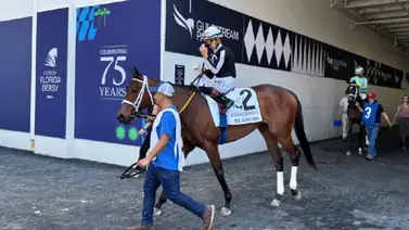 Kentucky Oaks: My Miss Mo ha sido retirada de esta prestigiosa competición Kentucky Oaks: My Miss Mo ha sido retirada de esta prestigiosa competición