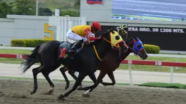 Lo que nadie te contó sobre Mi Maritza: La clave que puede decidir su carrera este domingo en La Rinconada Lo que nadie te contó sobre Mi Maritza: La clave que puede decidir su carrera este domingo en La Rinconada