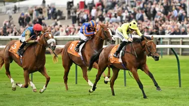 Bow Echo y Gstaad acaparan la atención en las 2000 Guineas Británicas (Grupo 1) Bow Echo y Gstaad acaparan la atención en las 2000 Guineas Británicas (Grupo 1)