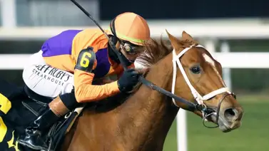 Kentucky Derby: A este favorito le toca superar el maleficio del puesto 17 gracias a un retiro clave Kentucky Derby: A este favorito le toca superar el maleficio del puesto 17 gracias a un retiro clave