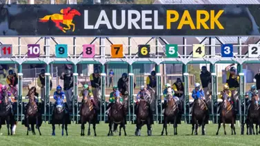Preakness Stakes: Napoleon Solo apunta para el segundo paso de la Triple Corona en Estados Unidos Preakness Stakes: Napoleon Solo apunta para el segundo paso de la Triple Corona en Estados Unidos