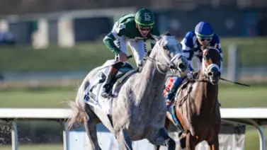 Kentucky Derby: Fulleffort no correrá debido a esta lesión que produce su retiro Kentucky Derby: Fulleffort no correrá debido a esta lesión que produce su retiro