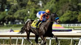 Ways and Means contra Splendora es el primer duelo del sábado en el Derby City Distaff Stakes (G1) en Churchill Downs