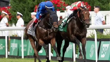 Program Trading va por la repetida en la Turf Classic Stakes (G1) con premios de $1.5 millones Program Trading va por la repetida en la Turf Classic Stakes (G1) con premios de $1.5 millones