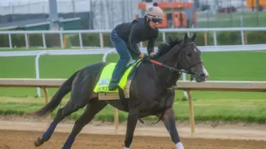 Kentucky Derby: Ocelli entra a competir identificado con un número que rompe la historia Kentucky Derby: Ocelli entra a competir identificado con un número que rompe la historia
