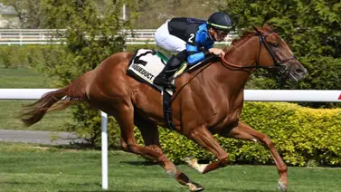 Sweet Rebecca busca mantener el invicto en el Churchill Distaff Turf Mile Stakes (G2) Sweet Rebecca busca mantener el invicto en el Churchill Distaff Turf Mile Stakes (G2)