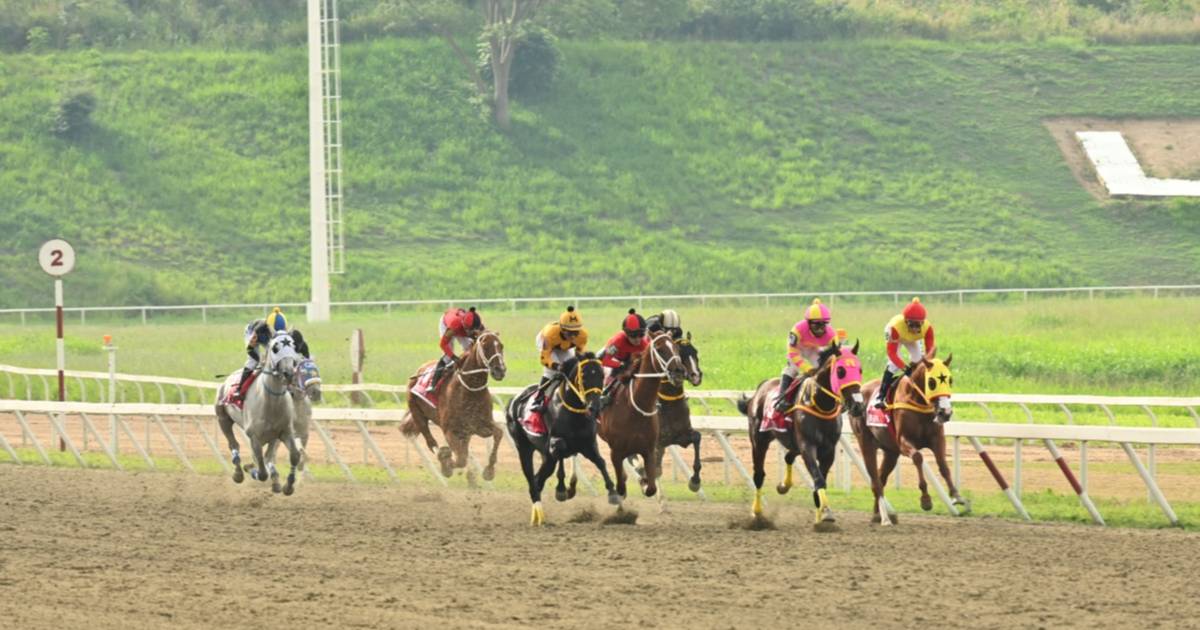 La Rinconada Horse Racing: Favorites, Results & Expert Picks | Meridiano.net - News Directory 3