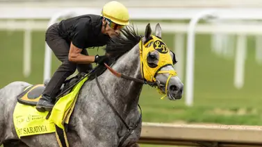 El caballo más barato que corre el Kentucky Derby lucirá esta bandera El caballo más barato que corre el Kentucky Derby lucirá esta bandera