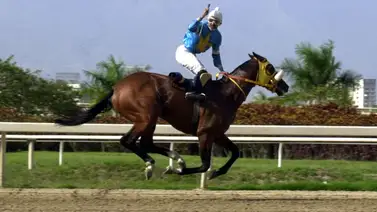 Falleció uno de los propietarios del campeón My Own Bussiness Falleció uno de los propietarios del campeón My Own Bussiness