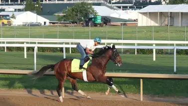 Mira la hazaña que puede lograr Junior Alvarado si gana el Kentucky Derby Mira la hazaña que puede lograr Junior Alvarado si gana el Kentucky Derby