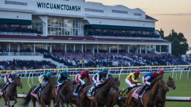 Dos de Baffert entre los ocho potros que van por el Santa Anita Derby (G1) este sábado