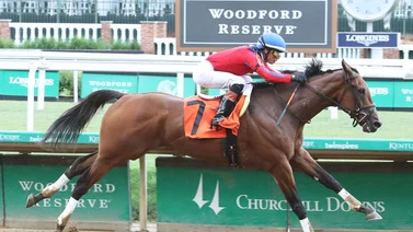 Aquí el Best Bet y los Tips para Churchill Downs 02-05-2024