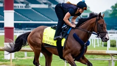 Exgrandeliga campeón de Serie Mundial tiene un caballo en el Kentucky Derby