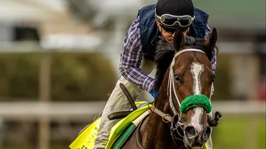 La mejor cifra de velocidad del Kentucky Derby es para un ejemplar que está 20 a 1 