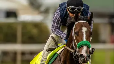 La mejor cifra de velocidad del Kentucky Derby es para un ejemplar que está 20 a 1 La mejor cifra de velocidad del Kentucky Derby es para un ejemplar que está 20 a 1