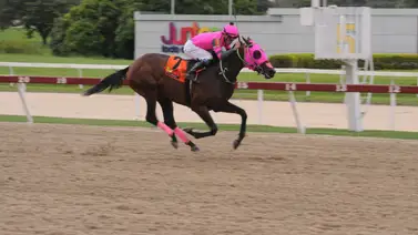 Nieta de Water Poet es la más veloz en los ajustes de La Rinconada Nieta de Water Poet es la más veloz en los ajustes de La Rinconada