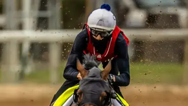 Este es el puesto de pista que más ganadores ha dado el Kentucky Derby Este es el puesto de pista que más ganadores ha dado el Kentucky Derby